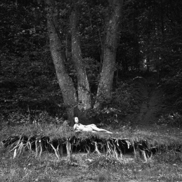 Photograph Anca Cernoschi Roots on One Eyeland