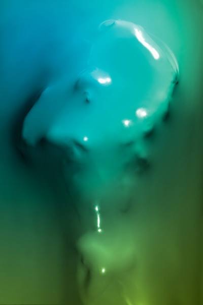Photograph Julien Palast Skindeep on One Eyeland