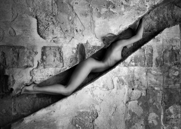 Photograph Andrey Stanko Snake on One Eyeland