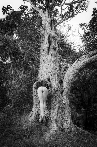 Photograph Andrew Lever Tree Nude on One Eyeland