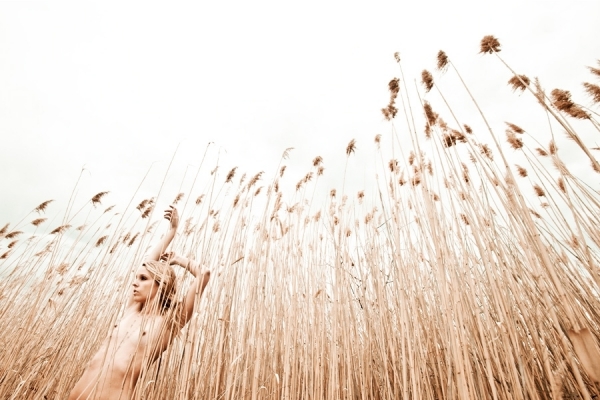 Photograph Jake Garn Uncertain Marshes on One Eyeland