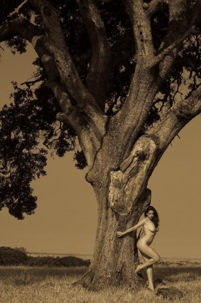 Photograph Andy Amyx Nude With Oak Tree on One Eyeland