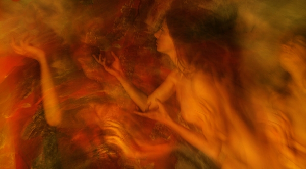 Photograph Pierre Moeremans Elusive Iii on One Eyeland