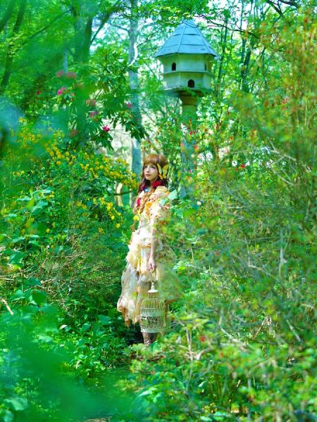 Photograph Haseo Hasegawa Garden 2 on One Eyeland