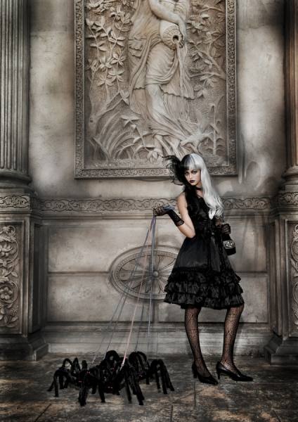Photograph Haseo Hasegawa Spider 2 on One Eyeland