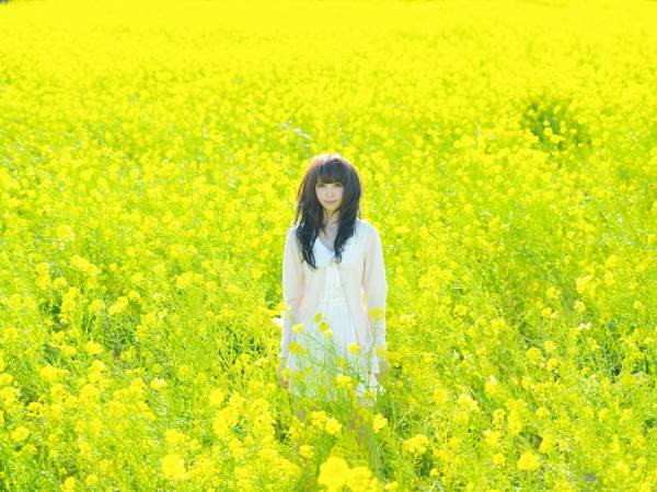 Photograph Haseo Hasegawa Field Mustard on One Eyeland