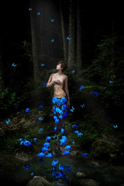 Photograph Haseo Hasegawa Butterfly on One Eyeland