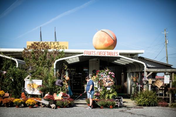 Photograph Paul Elledge First Stop on One Eyeland