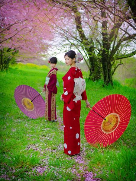 Photograph Haseo Hasegawa Spring on One Eyeland