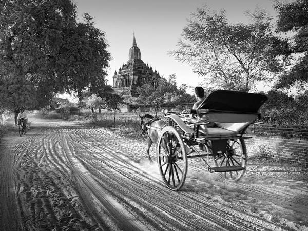 Photograph Suchet Suwanmongkol Carriage on One Eyeland