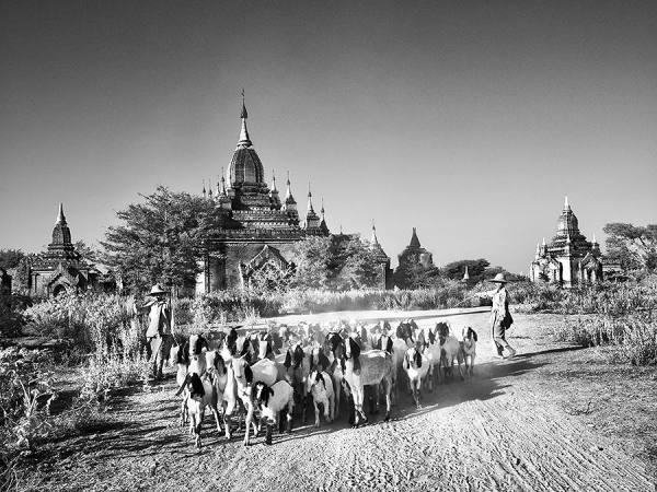 Photograph Suchet Suwanmongkol Come Back Home on One Eyeland