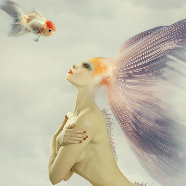 Photograph Ada Lena Creations De La Lumiere on One Eyeland