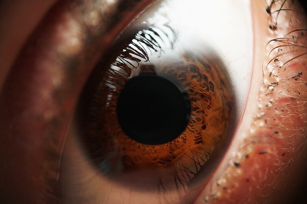 Photograph Marko Gverich Eye on One Eyeland