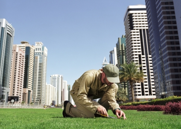 Photograph Nick Dolding Grass Cutter Dubai on One Eyeland