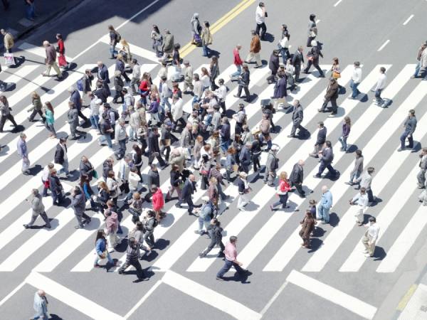 Photograph Michael Blann Life From Above on One Eyeland