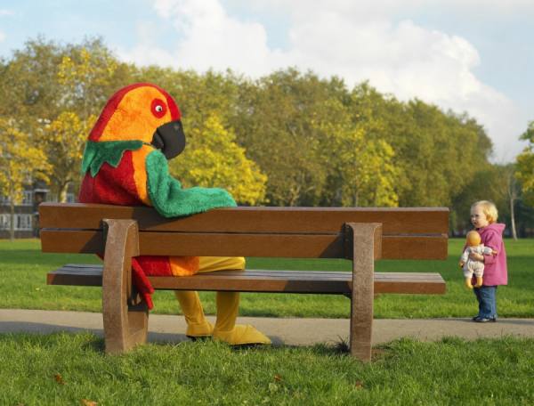 Photograph Nick Dolding Parrot on One Eyeland