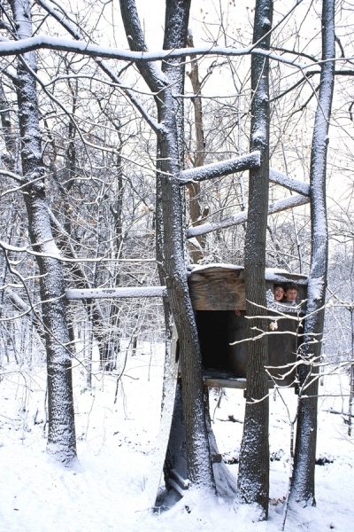 Photograph Chip Henderson Snowy Treehouse on One Eyeland