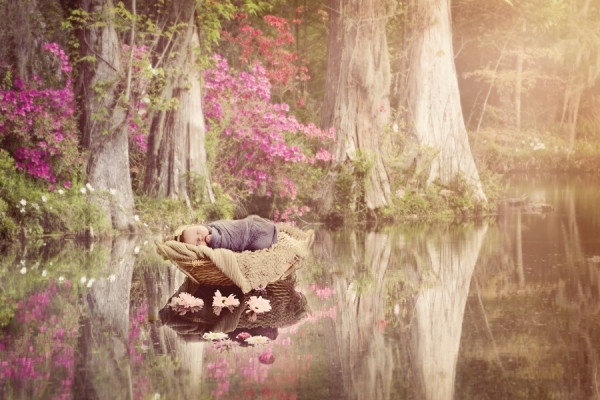Photograph Amber Bauerle Summer Pond on One Eyeland