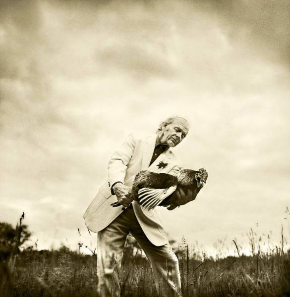 Photograph Greg Whitaker The Rooster Waltz on One Eyeland