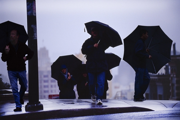 Photograph Mitchell Funk Umbrellas On Jones Street on One Eyeland