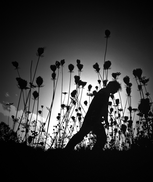 Photograph David Senechal Polydactyle The Weight Of Flowers on One Eyeland