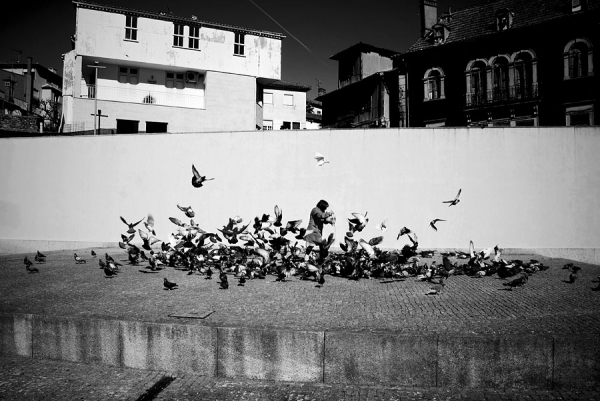 Photograph Luis Belo Dancing Doves on One Eyeland