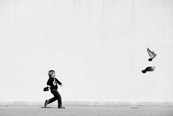 Photograph Luis Belo Voos Comuns on One Eyeland