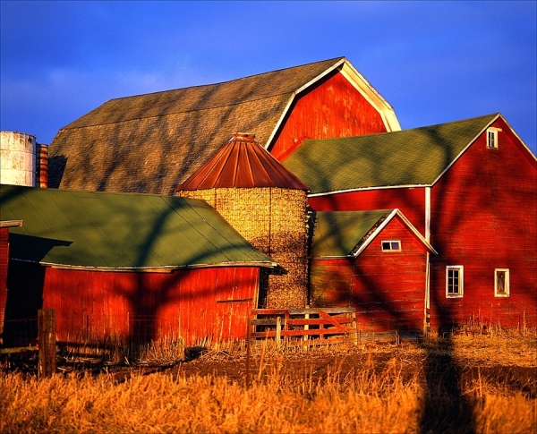 Photograph Red Morgan Barn on One Eyeland