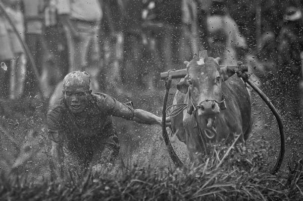 Photograph Rudy Harianto Out Of Control on One Eyeland