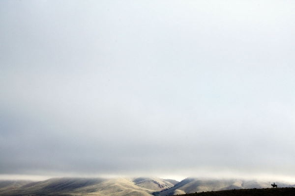 Photograph Federico Modica Skyline on One Eyeland