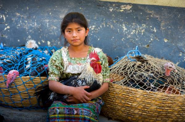 Photograph Valerie Leonard The Rooster Girl on One Eyeland