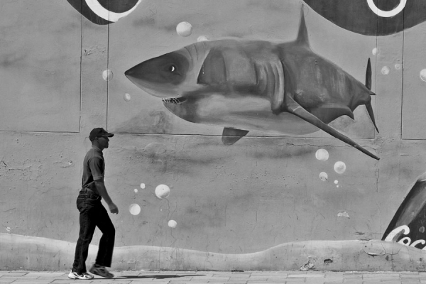 Photograph Pierre Prins Shark Attack on One Eyeland