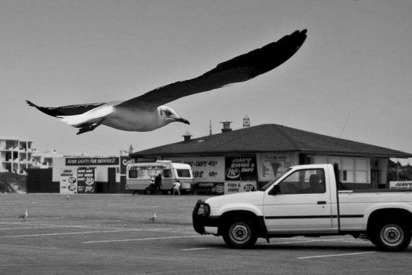 Photograph Pierre Prins Incoming on One Eyeland