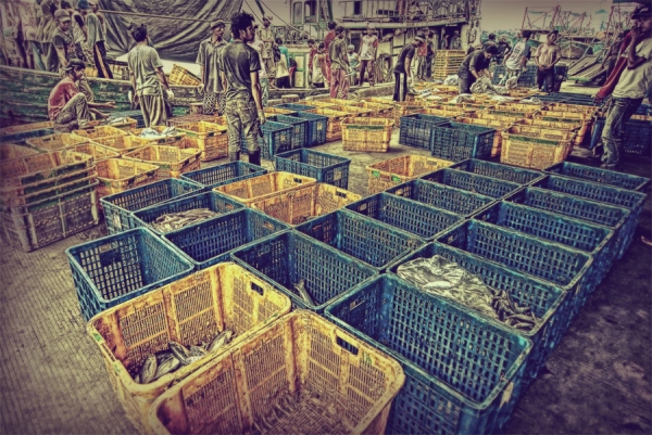 Photograph Saepul Jamal Sje Fishmarket on One Eyeland
