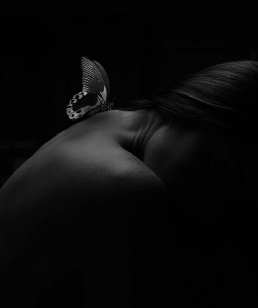 Photograph Vanessa Santoni Dream on One Eyeland