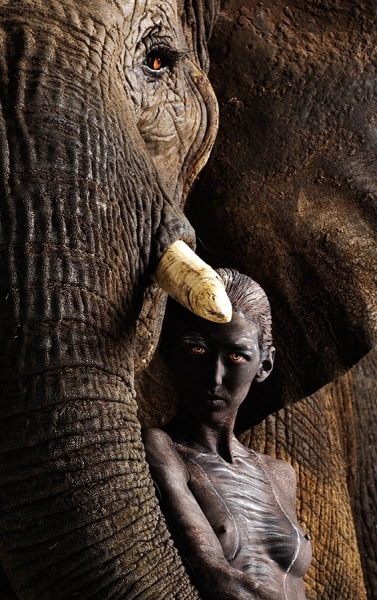 Photograph Lennette Newell Anihuman Elephant 918 on One Eyeland