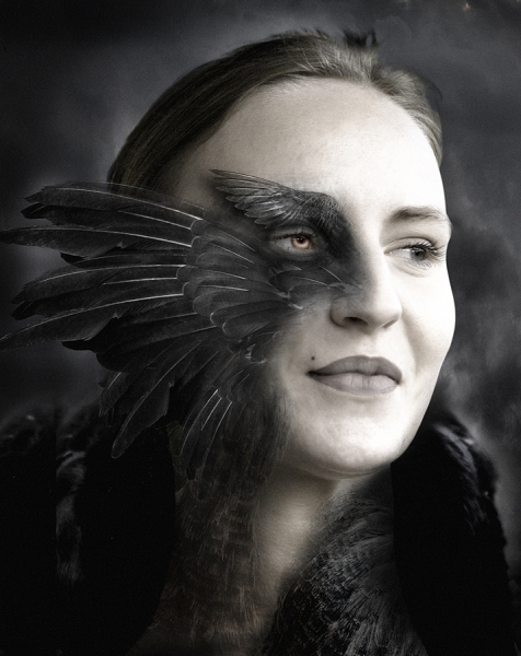 Photograph Piotr Rusnarczyk Bird on One Eyeland