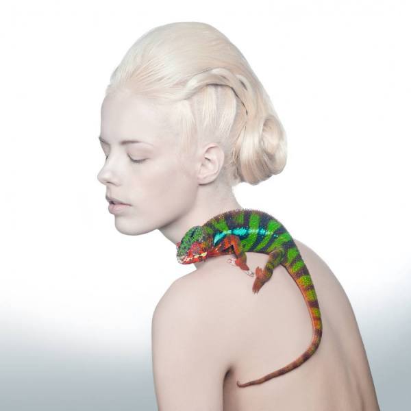 Photograph Jacco Breedveld Cameleon on One Eyeland