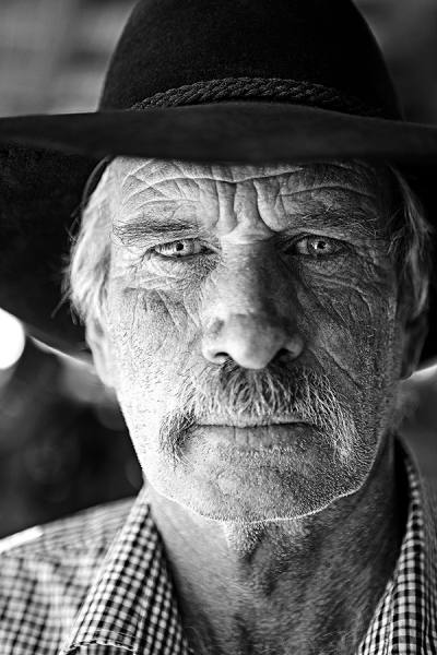Photograph Thom Rigney Cattle Country Two on One Eyeland