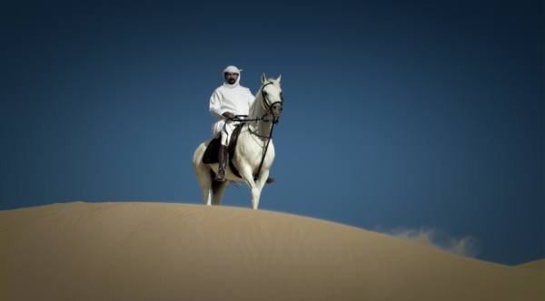 Photograph David Taylorbramley Desert Horseman on One Eyeland