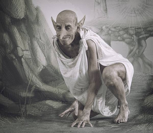 Photograph Heike Suhre Dobby 2 on One Eyeland