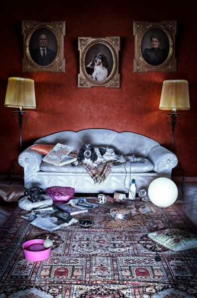 Photograph Stefano Pedretti Dog On The Couch on One Eyeland