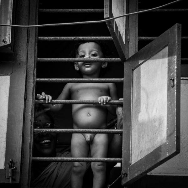 Photograph Sunil Subramanian Free In Captivity on One Eyeland