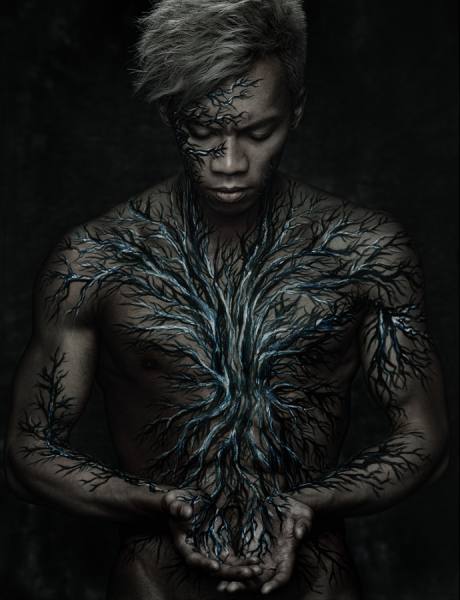 Photograph Raymond Kam Grow From Heart on One Eyeland