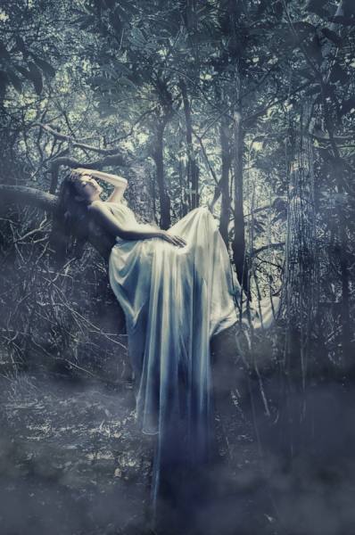 Photograph Raymond Kam Lost Forest on One Eyeland