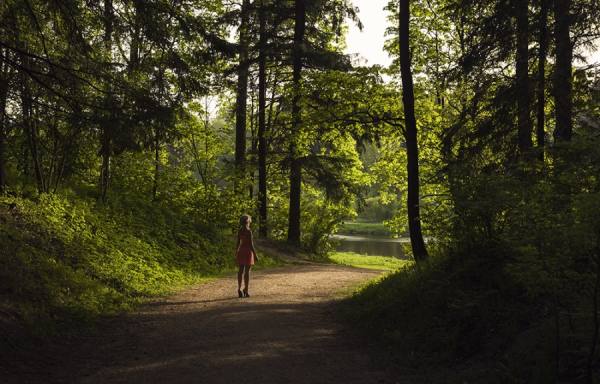 Photograph Sergei Tatarskikh Park on One Eyeland