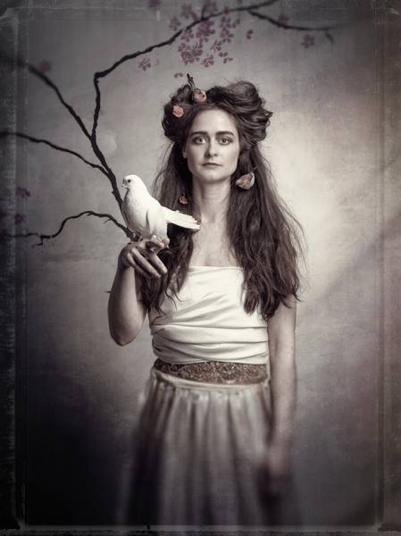Photograph Philip E James Girl With Pigeon on One Eyeland