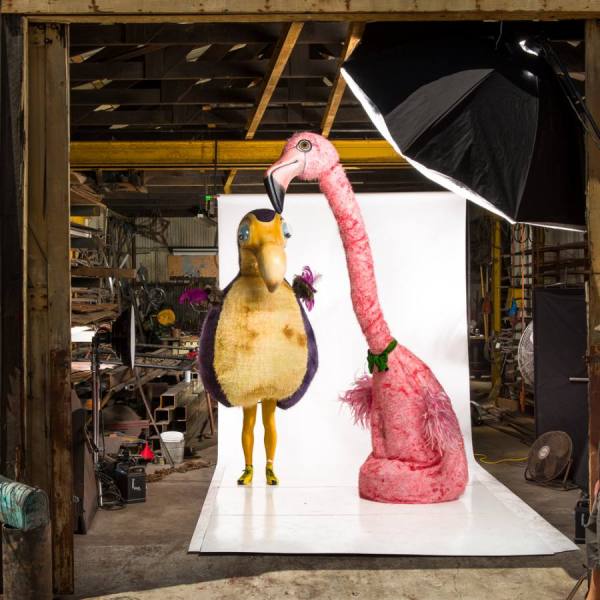 Photograph Kevin Steele Solstice People on One Eyeland