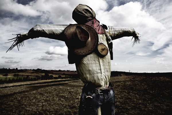Photograph Derek Seaward Scarecrows on One Eyeland