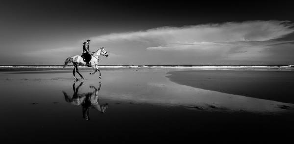 Photograph Irreberente Natalia Aguado Fast Horse on One Eyeland